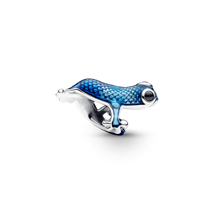 Lagarto Azul