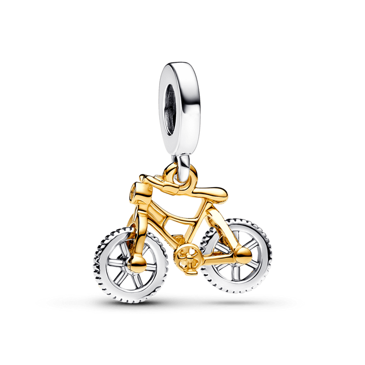 Bicicleta de Aventuras