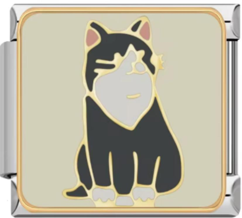 Italiano Gato Negro