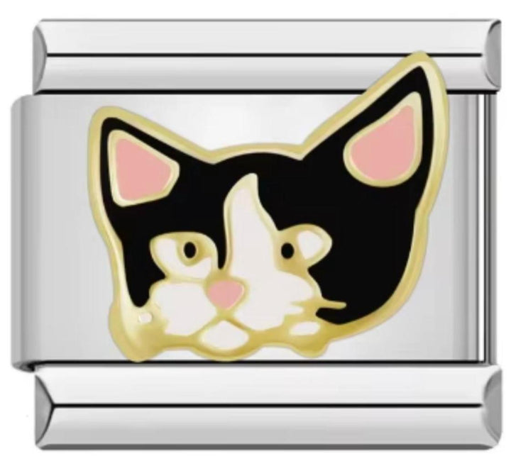 Italiano Gato Negro