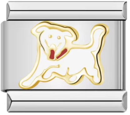 Italiano Cachorro
