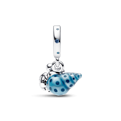 Caracol de Mar Azul