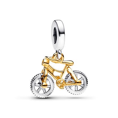 Bicicleta de Aventuras