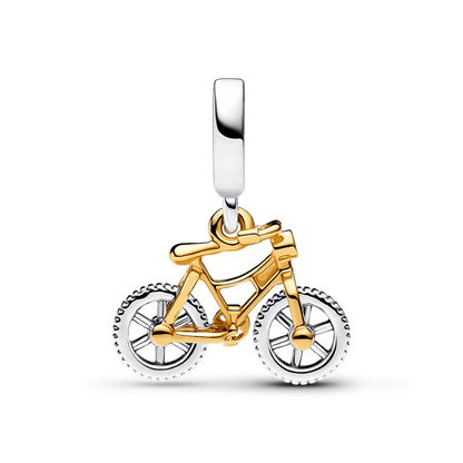Bicicleta de Aventuras