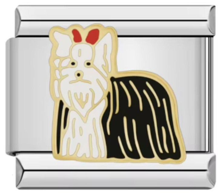 Italiano Pet
