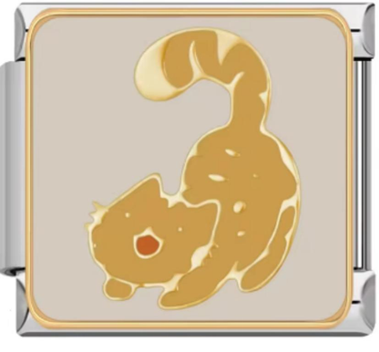 Italiano Gato Naranja