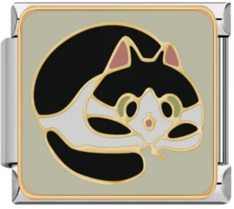 Italiano Gato Negro