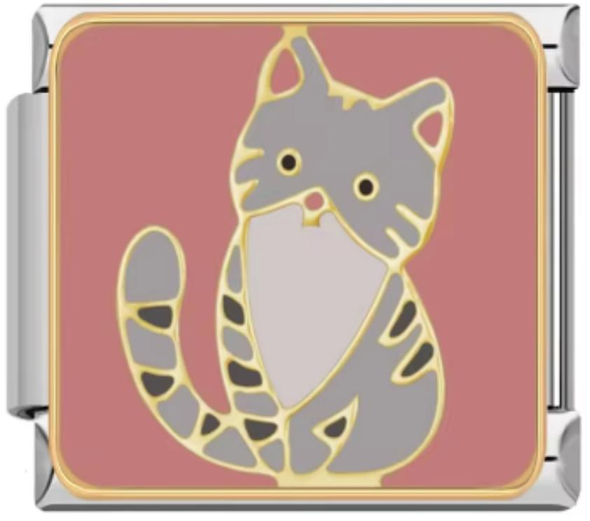 Italiano Gato Gris