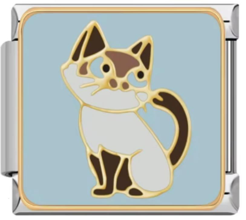 Italiano Gato Blanco