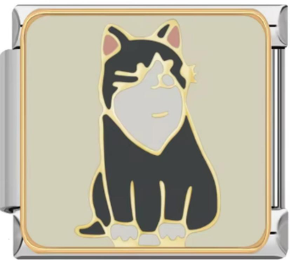 Italiano Gato Negro