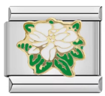 Italiano Flor Blanca