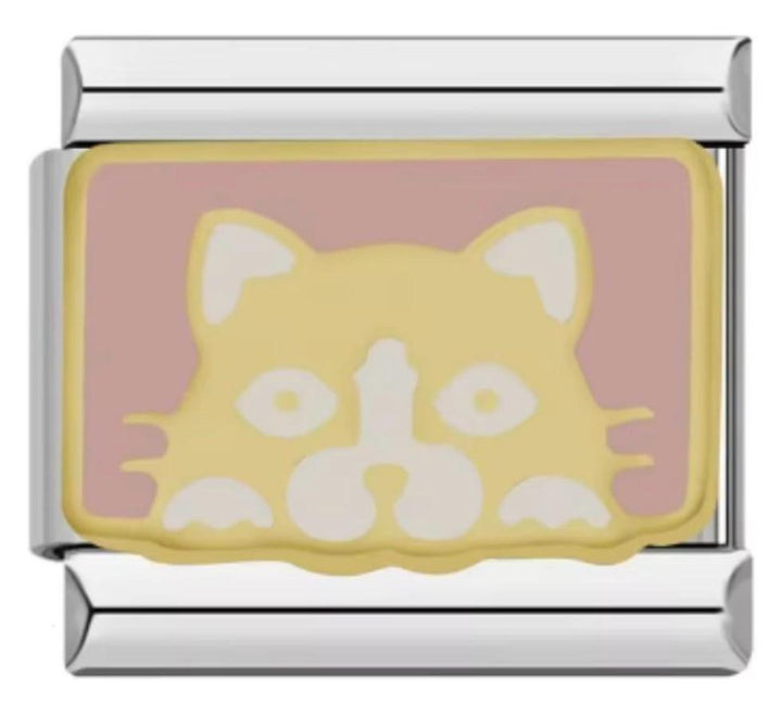 Italiano Rosa Gatito