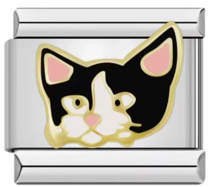 Italiano Gato Negro