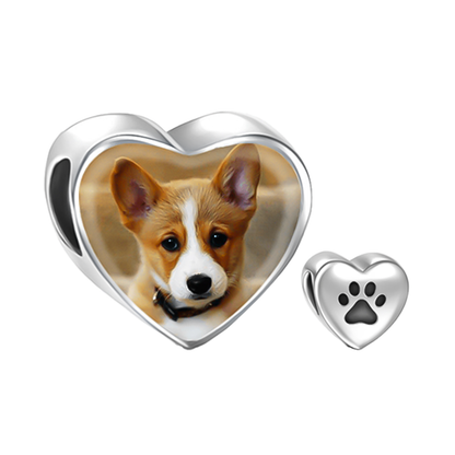 Personalizado Pet