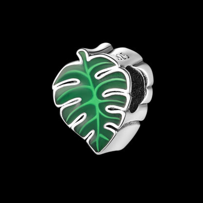 Hoja